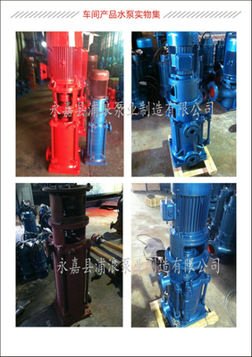 XBD2.36/1.72-40DL×2-消防泵,DL立式多级消防泵,温州消防泵生产厂家,消防泵配件-永嘉县浦浪泵业制造
